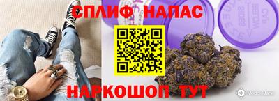 МДПВ Кандалакша