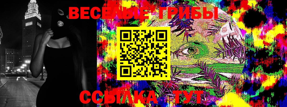 Истра  Галлюциногенные грибы MAGIC MUSHROOMS  Вход с VPN  Псилоцибиновые грибы Psilocybe 